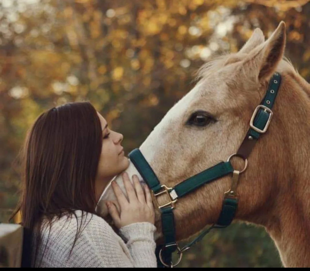 A man stands with a horse in the riding stable. Our equestrian programs are a great way to have fun and build self-confidence.